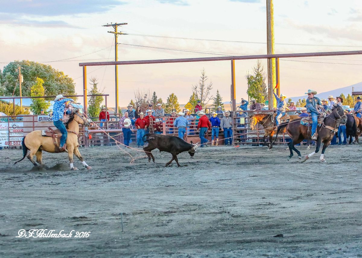 rodeo arena