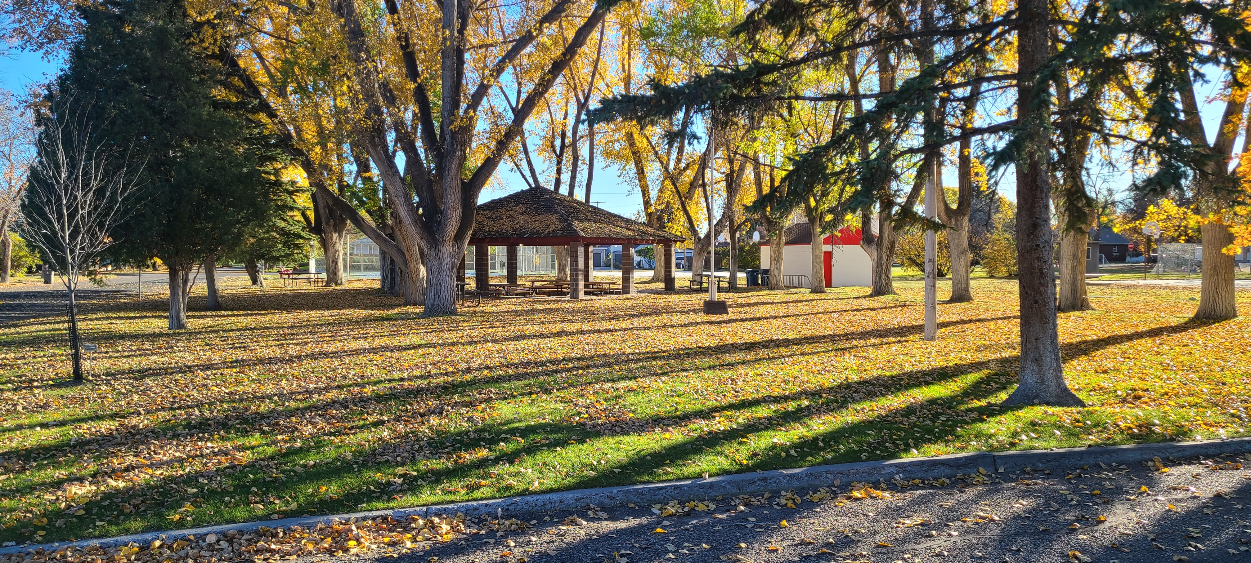 park in the fall